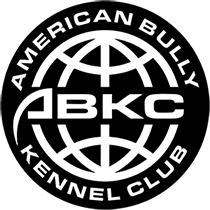 American Bully Kennel Club : American Bully Kennel Club